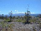 Bestandsnaam=20.jpg
Bestandsgrootte=277KiB
Afmetingen = 1000x750
Datum toegevoegd = %20 %656 %2005 20.jpg