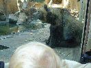 Bestandsnaam=351.jpg
Bestandsgrootte=235KiB
Afmetingen = 1000x750
Datum toegevoegd = %04 %576 %2005 351.jpg