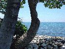Bestandsnaam=38.jpg
Bestandsgrootte=293KiB
Afmetingen = 1000x750
Datum toegevoegd = %20 %659 %2005 38.jpg